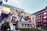 entry image